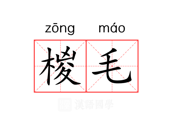 椶毛 椶毛