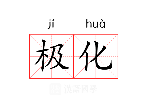 极化 极化