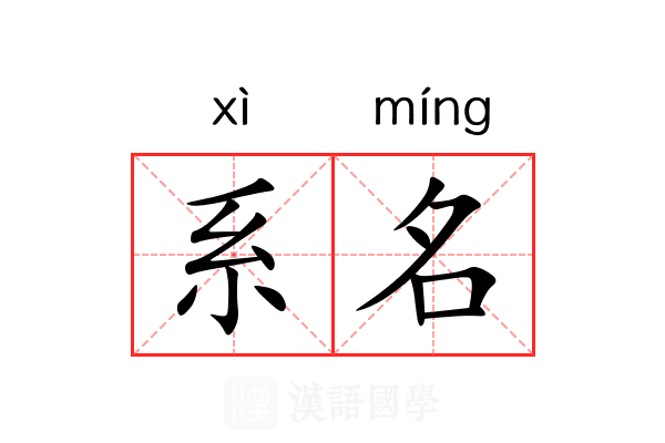 系名 系名
