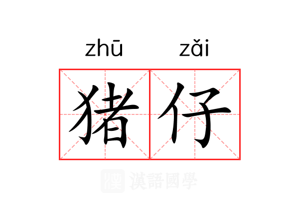 猪仔