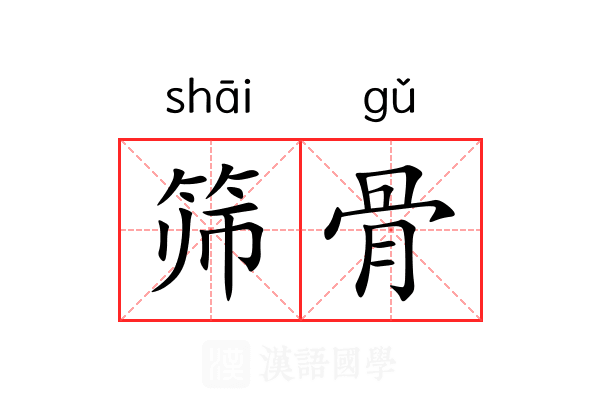 筛骨 筛骨