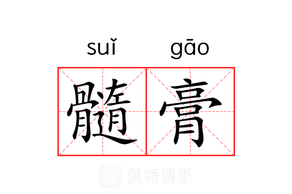 髓膏 髓膏
