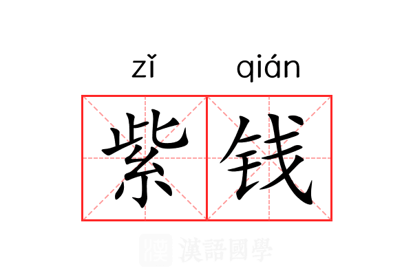 紫钱 紫钱
