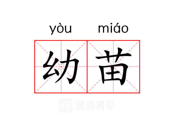 幼苗 幼苗