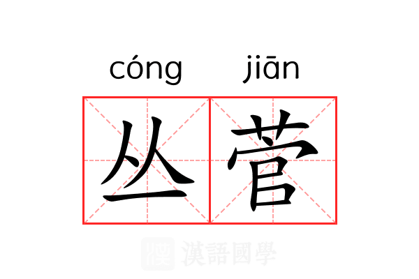 丛菅
