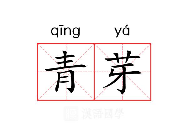 青芽 青芽