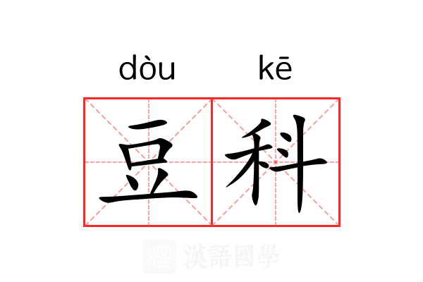 豆科