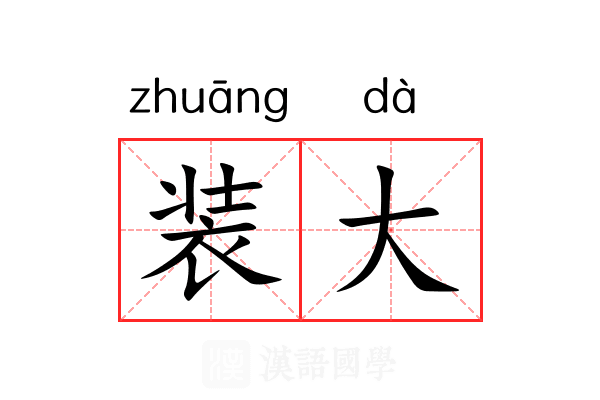 装大 装大