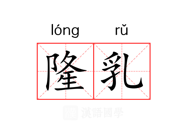 隆乳 隆乳