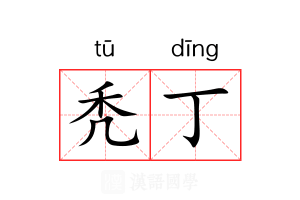 秃丁