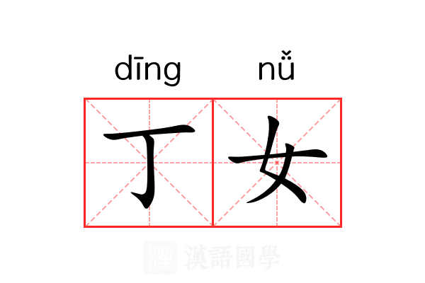 丁女 丁女