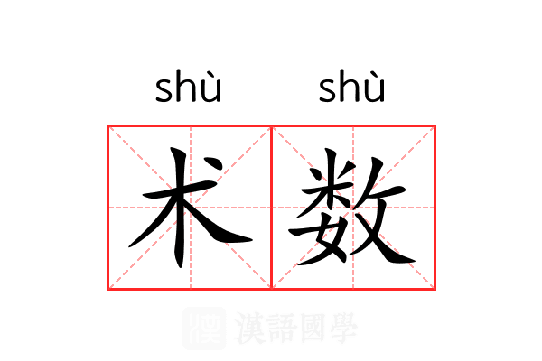 术数