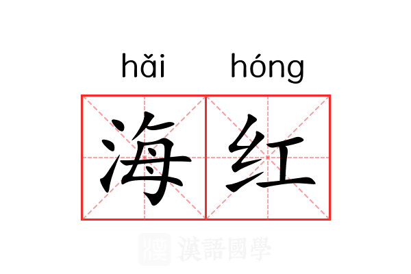 海红 海红