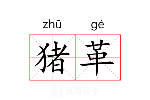 猪革