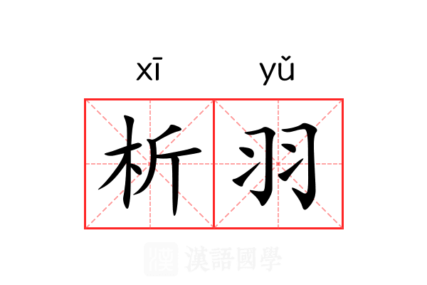 析羽
