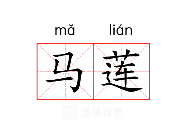 马莲 马莲