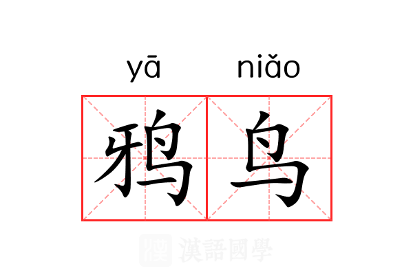 鸦鸟