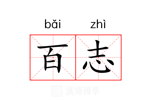 百志