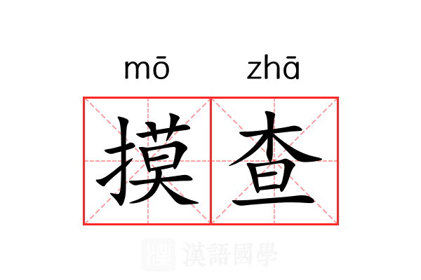 摸查