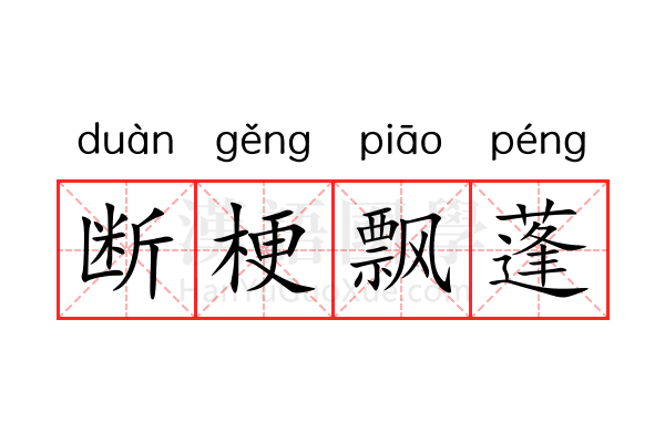 断梗飘蓬 断梗飘蓬