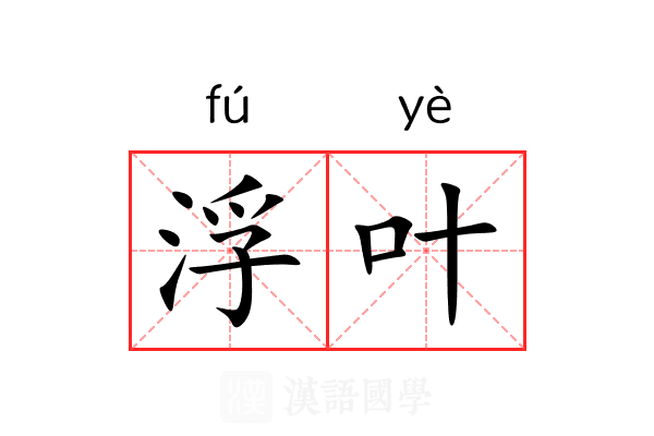 浮叶 浮叶