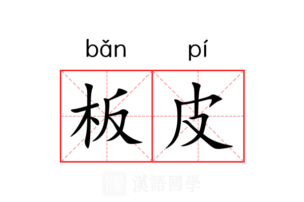 板皮 板皮