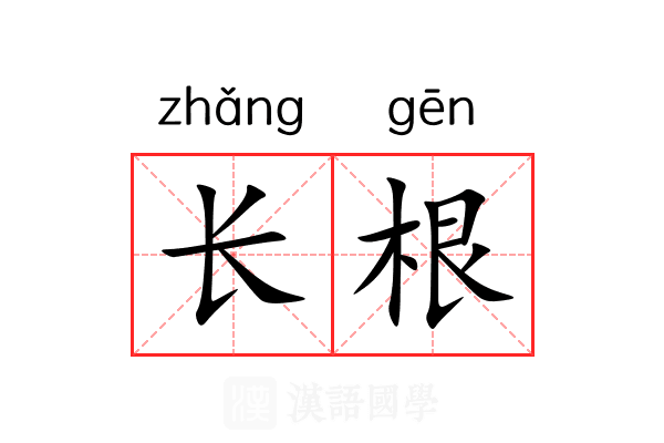 长根