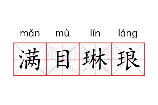 满目琳琅 满目琳琅