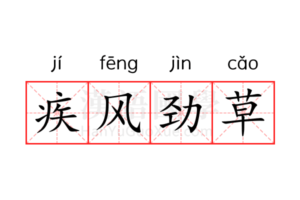 疾风劲草 疾风劲草