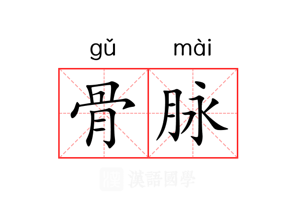骨脉