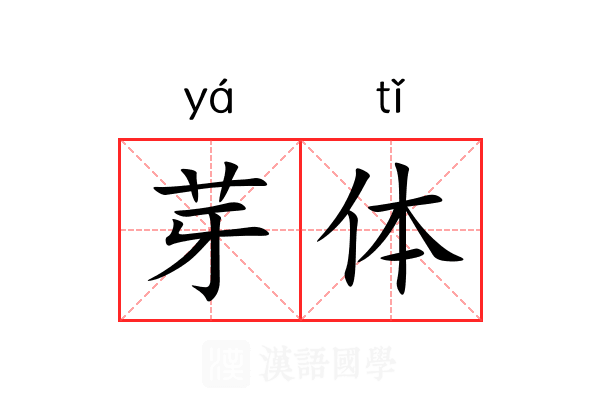 芽体 芽体