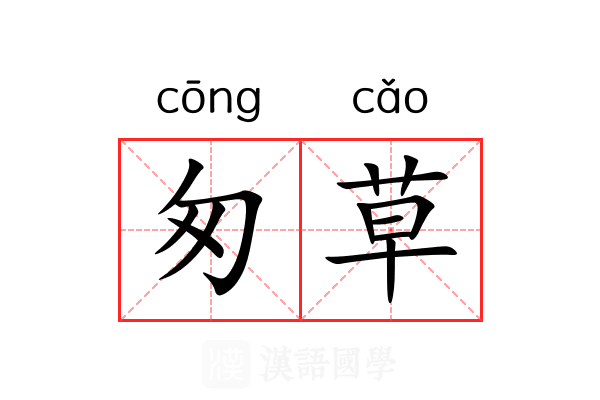 匆草 匆草