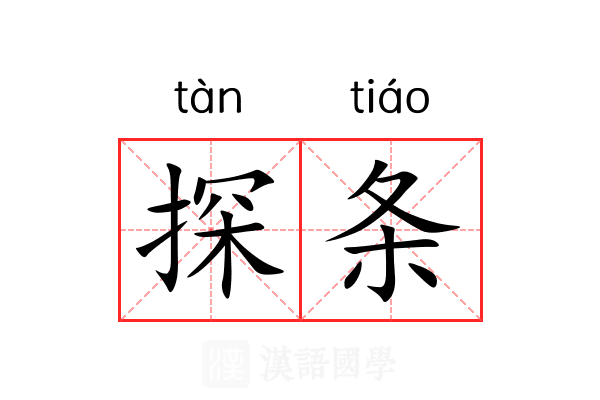 探条