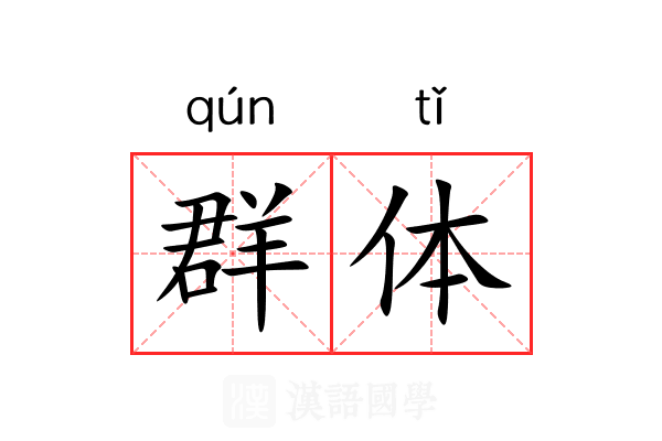 群体 群体