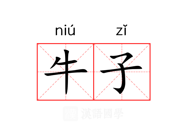 牛子