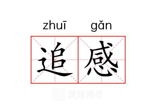追感 追感