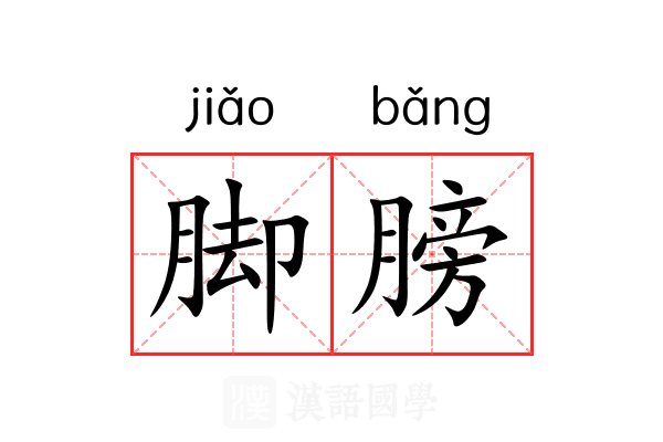 脚膀 脚膀