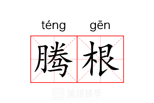 腾根 腾根