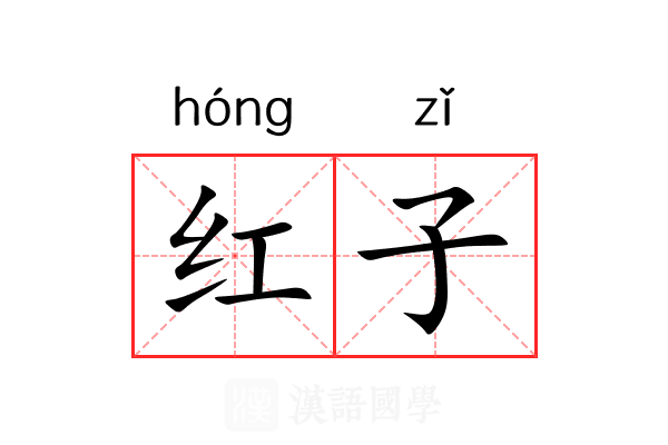红子 红子