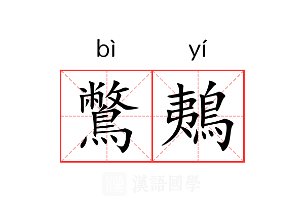 鷩鴺