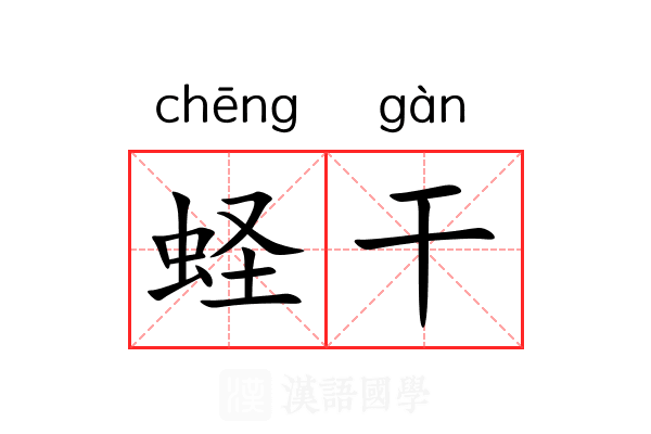 蛏干 蛏干