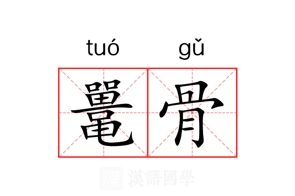 鼍骨