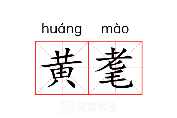 黄耄