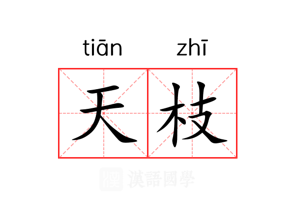 天枝 天枝