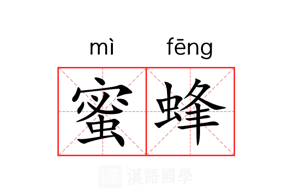 蜜蜂 蜜蜂