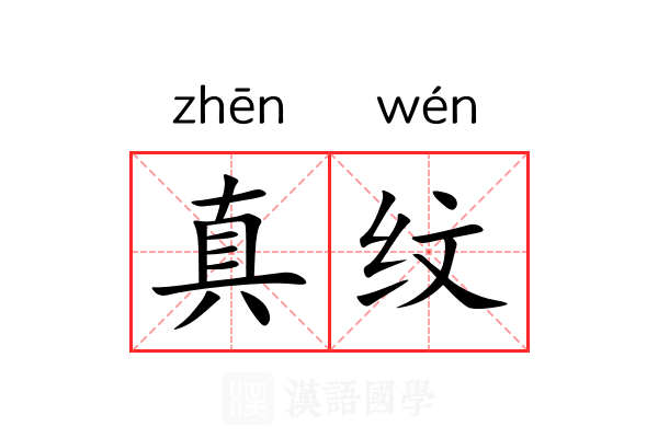 真纹 真纹