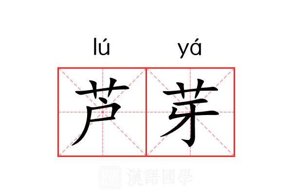 芦芽