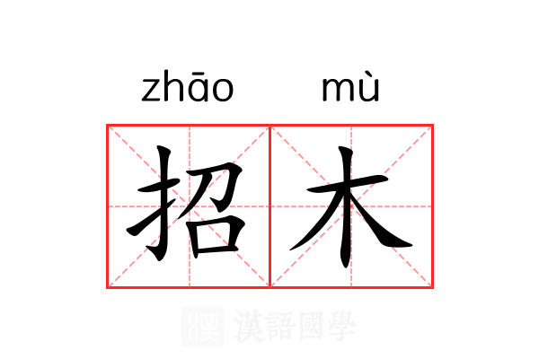 招木