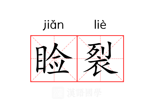 睑裂