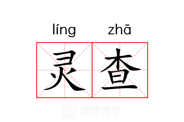 灵查 灵查